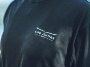 Remera Oversize Patagonia Negra